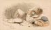Un homme se reposant - Thomas Miles Richardson Jr — vista dell’opera