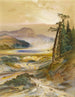 Geyser Excelsior Park des Yellowstone - Thomas Moran — Ansicht des Kunstwerks