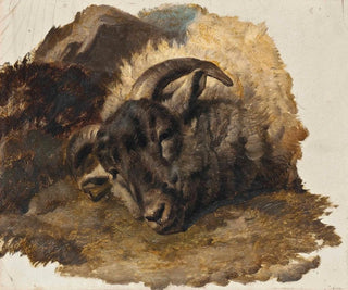 Thomas Sidney Cooper - Study Of A Rams Head.webp