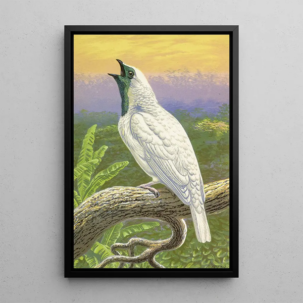 Thomas Waterman Wood - NakedThroated Cotinga.webp