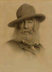 Walt Whitman - Thomas Wilmer Dewing — Ansicht des Kunstwerks