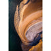 Naturfotodruck - Maritime Abdrücke von Thomas Zilberdoukaten