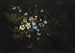 Blumenstrauß und Farne - Titian Ramsay Peale — Ansicht des Kunstwerks