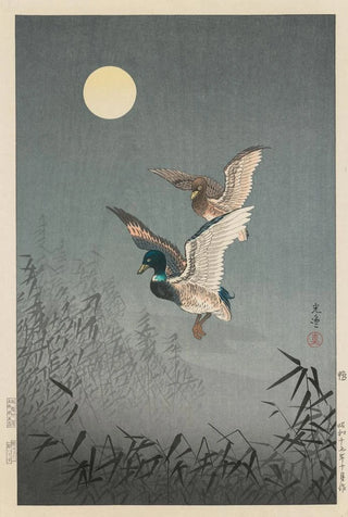 Tsuchiya Koitsu - Tokyo Views Ducks.webp