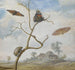 eines Käfers auf einem Zweig, zwei Schmetterlinge, eine Nachtfalter und ein kleiner Käfer darüber sowie eine Landschaft im Hintergrund - Margareta de Heer — Ansicht des Kunstwerks