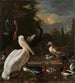 Ein Pelikan und andere Vögel in der Nähe eines Teiches, bekannt als La Plume Flottante - Melchior d'Hondecoeter — Ansicht des Kunstwerks