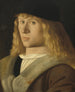 Ritratto di un giovane uomo - Venezia XVI secolo — vista dell’opera