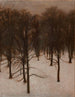 Parc Søndermarken in inverno - Vilhelm Hammershøi — vista dell’opera
