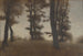 Tronchi d'alberi Arresdal vicino a Frederiksværk, Nord di Zelanda - Vilhelm Hammershøi — vista dell’opera