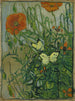 Farfalle e papaveri - Vincent van Gogh — vista dell’opera