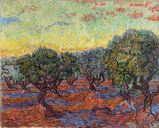 Vincent van Gogh - Olive Grove SaintRmy.webp