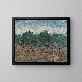 Vincent van Gogh - Olive Grove SaintRmy.webp