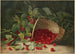 Himbeeren - Virginia Granberry — Ansicht des Kunstwerks