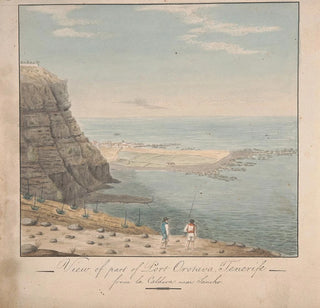 Vue d'une partie du port d'Orotava Tenerife depuis La Caldeva près de Sancho - Alfred Diston