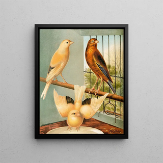 W A Blakston - Linnet And Canary Mules.webp