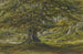 Coldbath Moseley Painting - W. Nicholls — artwork view