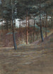 Un coin della foresta di Hardelot - Walter Crane — vista dell’opera