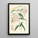 Lilium auratum - Walter Hood Fitch — framed artwork on a wall