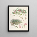 Les Rhododendrons du Sikkim-Himalaya Pl26 - Walter Hood Fitch — quadro incorniciato alla parete