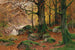 Landschaft im Herbstwald - Walter Moras — Ansicht des Kunstwerks