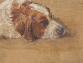 Walther Gamerith - Hundekopf Studie.webp