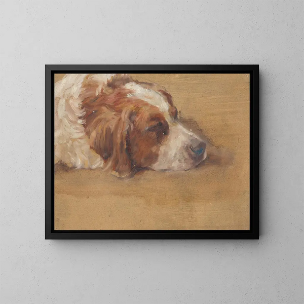 Studie eines Hundekopfes - Walther Gamerith — gerahmtes Bild an der Wand