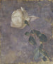Rose - Walther Gamerith — vista dell’opera