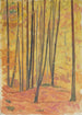 Interno di foresta - Walther Gamerith — vista dell’opera