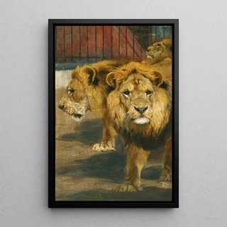 Wilhelm Kuhnert - Lions.webp