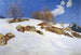 Sole di Marte a Davos - Wilhelm Ludwig Lehmann — vista dell’opera