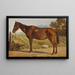 Rosinante, étude d'un vieux cheval debout - Wilhelm Marstrand — gerahmtes Bild an der Wand