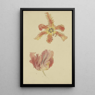 Wilhelm Steinhausen - Parrot tulips.webp