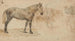 Studien eines Pferdes - Willem Carel Nakken — Ansicht des Kunstwerks