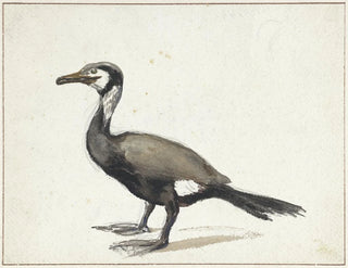 Cormoran - Willem Roelofs — vista dell’opera