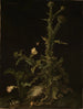 Girasole con vari animali - Willem van Aelst — vista dell’opera