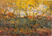 Chêne royal - William Henry Holmes — vista dell’opera