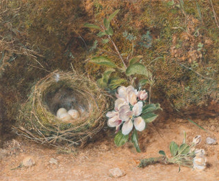 William Henry Hunt - Birds Nest with Sprays of Apple Blossoms.webp