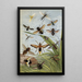 Diptères - William Houghton — framed artwork on a wall