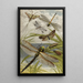 Névroptères - William Houghton — framed artwork on a wall