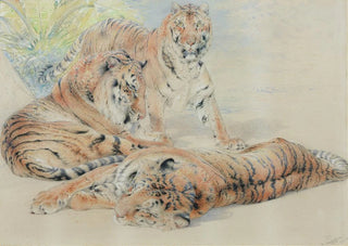 William Huggins - Study of tigers.webp