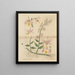 Dendrobium pierardi - William Jackson Hooker — quadro incorniciato alla parete