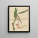 Ornithidium cramoisi - William Jackson Hooker — gerahmtes Bild an der Wand