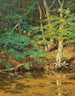 sul fiume Swift Tamworth NH - William Johnson Bixbee — vista dell’opera