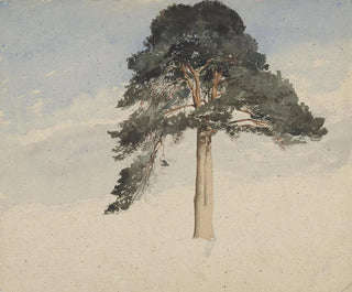William Leighton Leitch - Scottish Pine Tree.webp