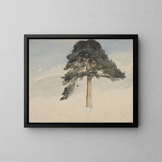 William Leighton Leitch - Scottish Pine Tree.webp