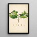 Plantes de la côte de Coromandel Pl054 - William Roxburgh — quadro incorniciato alla parete