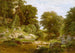 Ruisseau forestier - William Trost Richards — vista dell’opera
