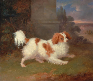 William Webb - A Blenheim Spaniel.webp