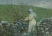 Fiori di pesco - Winslow Homer — vista dell’opera