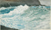 Onde, Prouts Neck - Winslow Homer — vista dell’opera